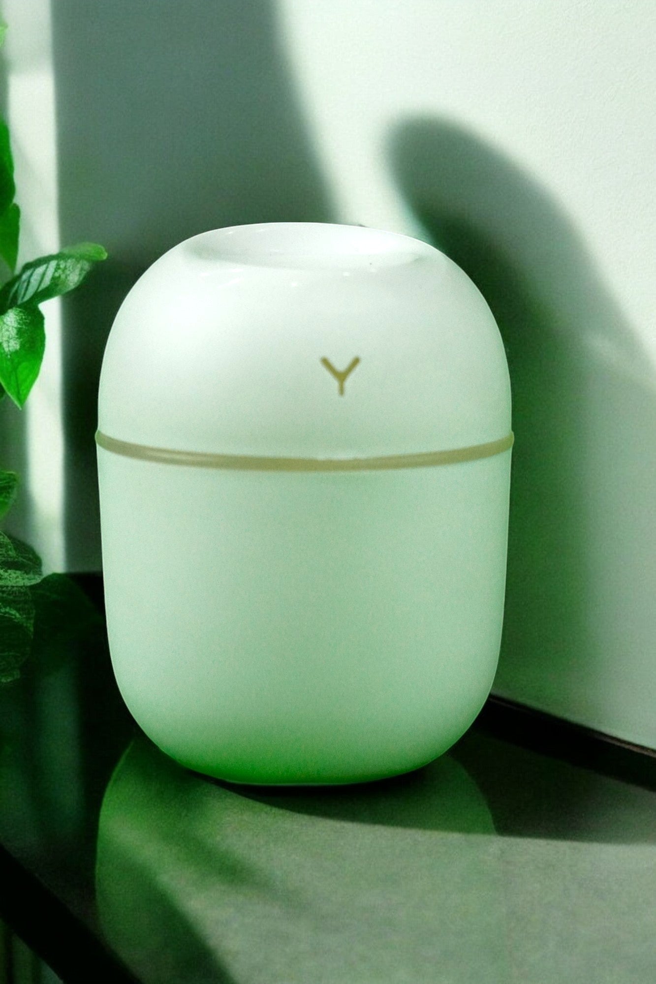 Colorful Egg Humidifier – আর্দ্র ও সতেজ পরিবেশের জন্য