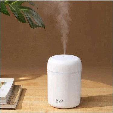 Portable H2O Humidifier