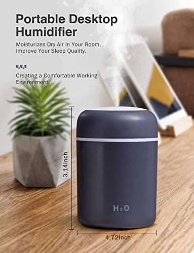 Portable H2O Humidifier
